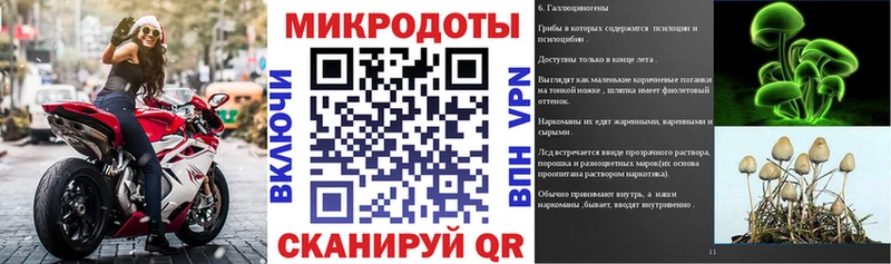 купить наркотик  Таруса  Псилоцибиновые грибы Psilocybine cubensis 
